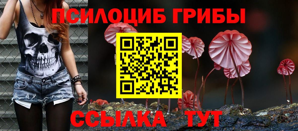 Галлюциногенные грибы Magic Shrooms Ртищево