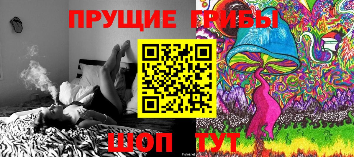 как найти закладки  Псилоцибиновые грибы Psilocybine cubensis  Вход с VPN  Ртищево 